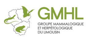 logo du GMHL