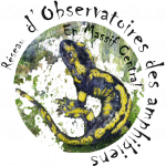 Logo réseau d'observatoires des amphibiens