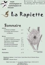Rapiette
