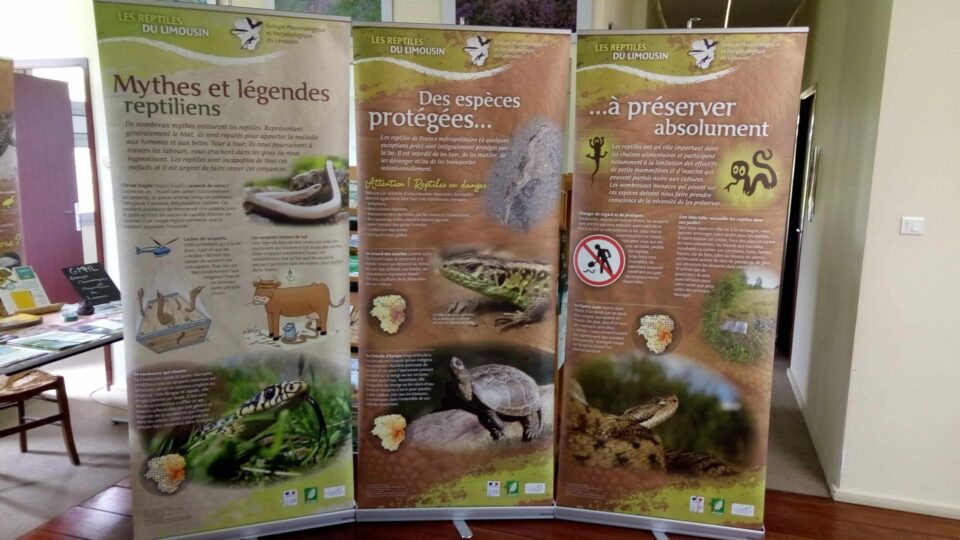 Toutes les expositions du GMHL
