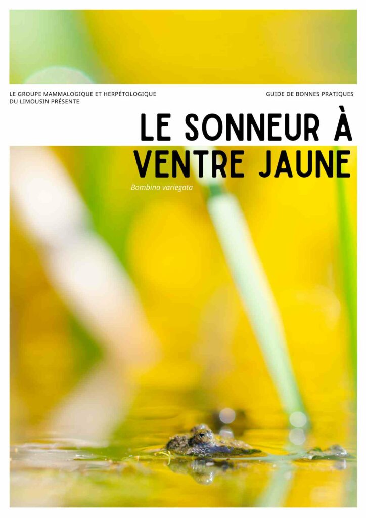 Sonneur-1-compressed