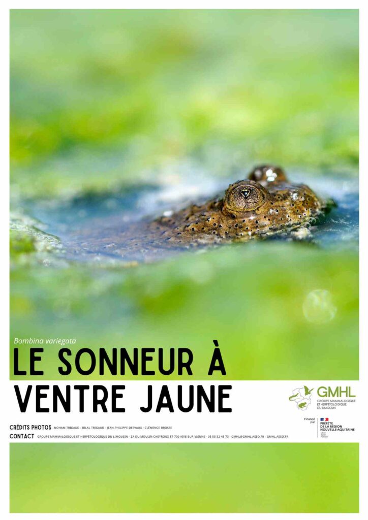Sonneur-4-compressed