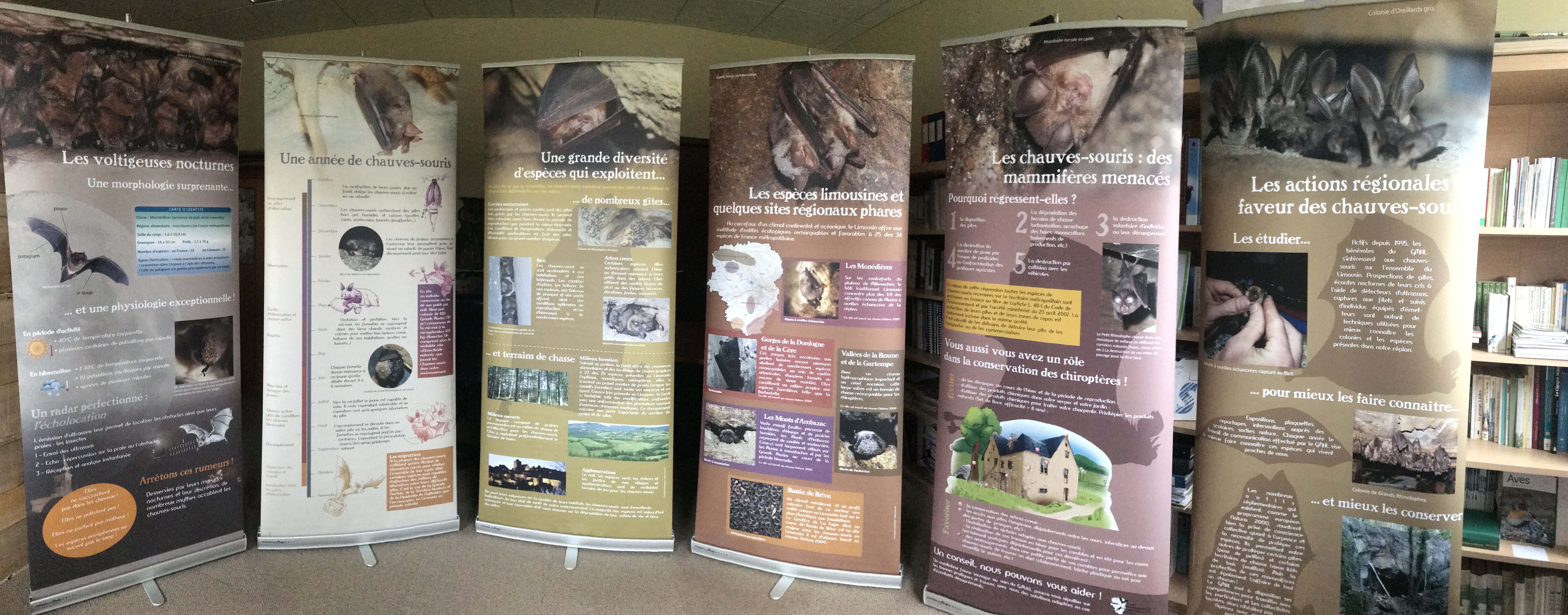 ExpoChiro_Complet