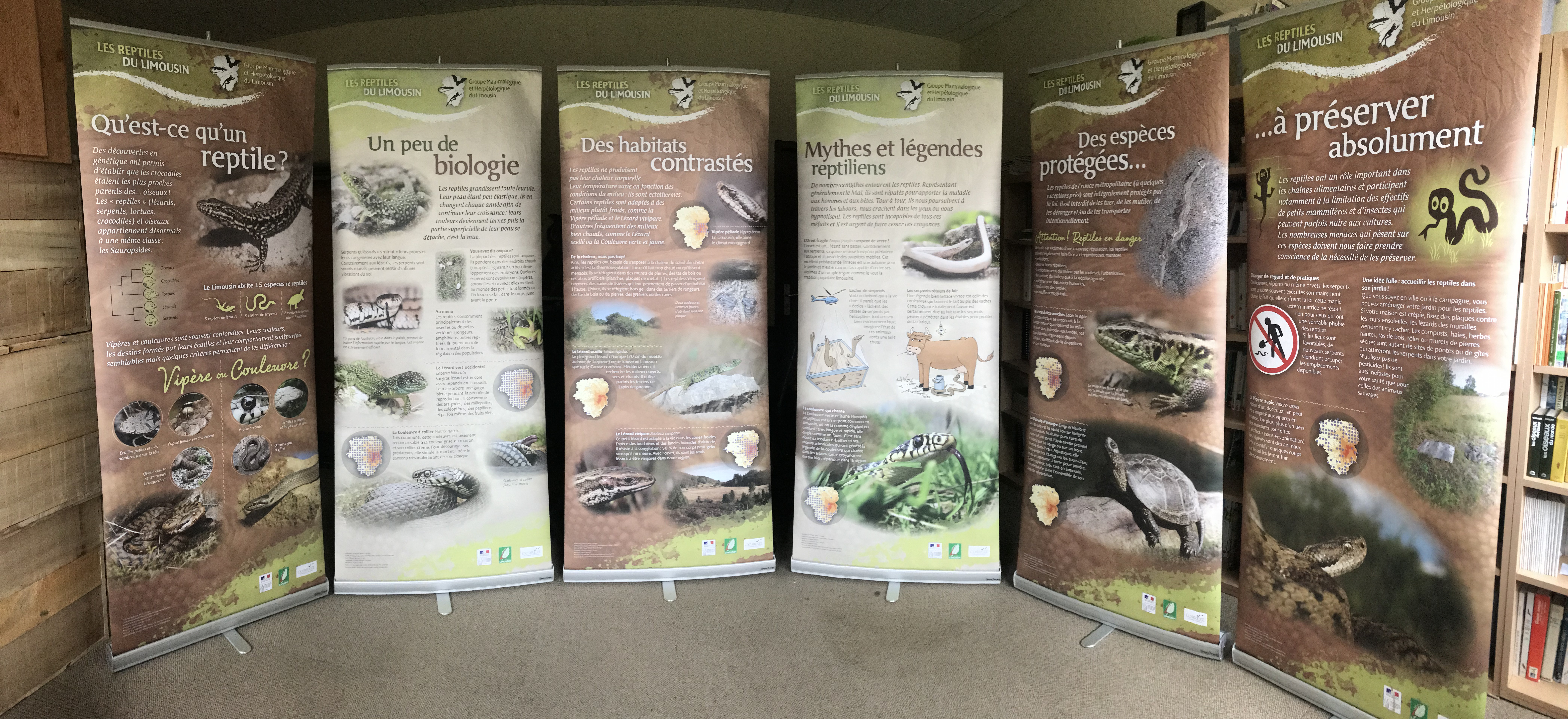 ExpoReptile_Complet